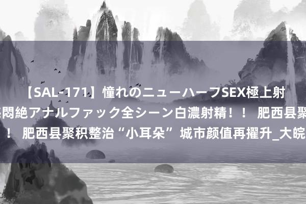 【SAL-171】憧れのニューハーフSEX極上射精タイム イキまくり快感悶絶アナルファック全シーン白濃射精！！ 肥西县聚积整治“小耳朵” 城市颜值再擢升_大皖新闻 | 安徽网