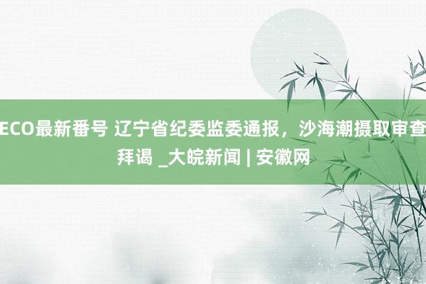 ECO最新番号 辽宁省纪委监委通报，沙海潮摄取审查拜谒 _大皖新闻 | 安徽网