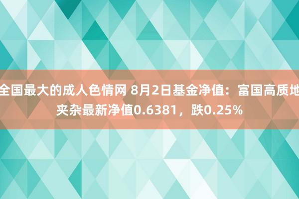 全国最大的成人色情网 8月2日基金净值：富国高质地夹杂最新净值0.6381，跌0.25%