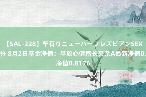 【SAL-228】竿有りニューハーフレズビアンSEX1125分 8月2日基金净值：平放心健增长夹杂A最新净值0.8176