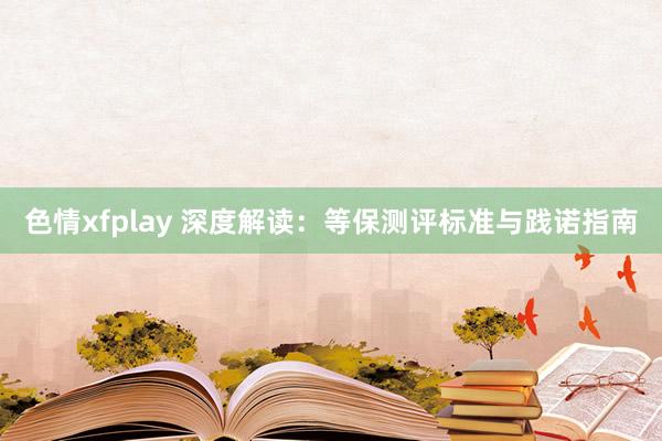 色情xfplay 深度解读：等保测评标准与践诺指南