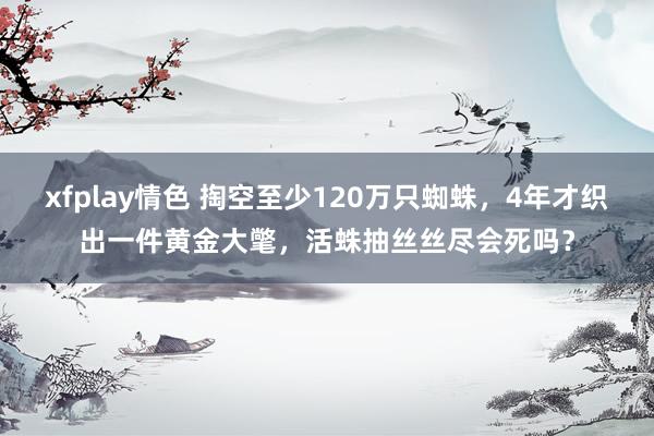 xfplay情色 掏空至少120万只蜘蛛，4年才织出一件黄金大氅，活蛛抽丝丝尽会死吗？