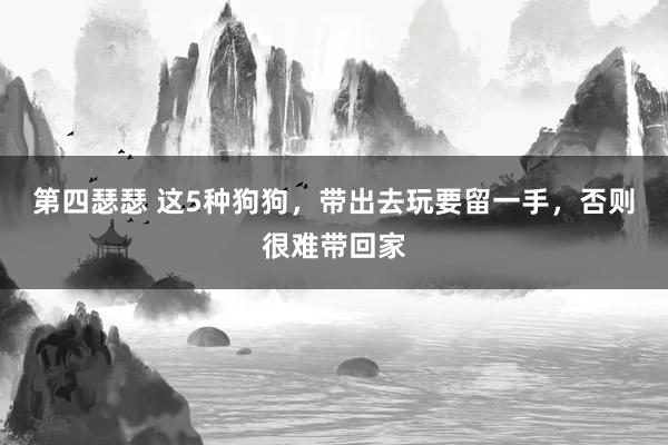 第四瑟瑟 这5种狗狗，带出去玩要留一手，否则很难带回家