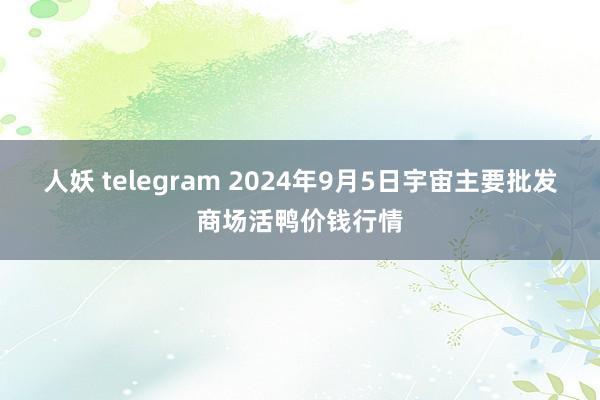 人妖 telegram 2024年9月5日宇宙主要批发商场活鸭价钱行情