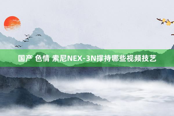 国产 色情 索尼NEX-3N撑持哪些视频技艺