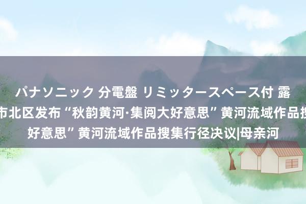 パナソニック 分電盤 リミッタースペース付 露出・半埋込両用形 市北区发布“秋韵黄河·集阅大好意思”黄河流域作品搜集行径决议|母亲河
