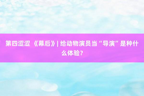 第四涩涩 《幕后》| 给动物演员当“导演”是种什么体验？