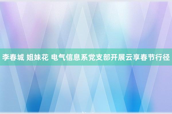 李春城 姐妹花 电气信息系党支部开展云享春节行径